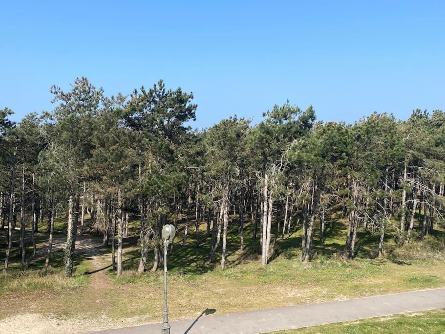 Lumineux 2 Chambres, A 2 Min De La Appartement Le Touquet-Paris-Plage